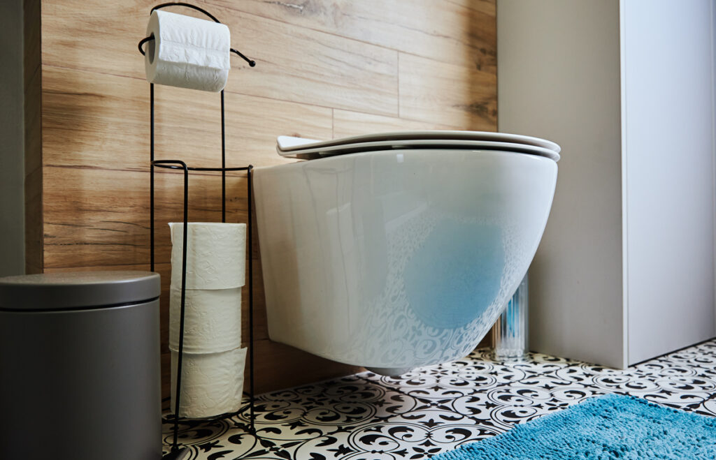 Débouchage WC Cannes